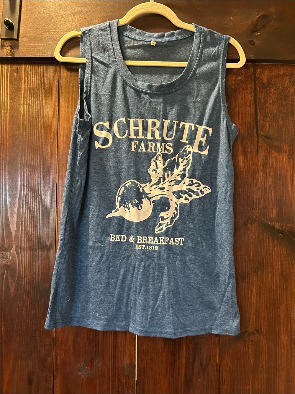 Schrutte Farms Blue Graphic Oversized Tank Top
